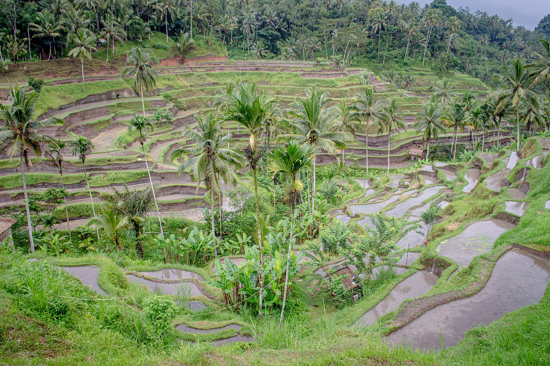 Gianyar Bali